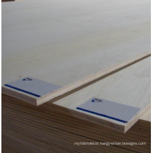 15mm 18mm White EV Eucalyptus Core Plywood